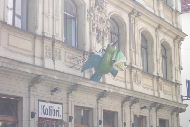 Area businesses bought the sparrows and dressed them up as they wished.