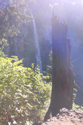Columbia River Gorge - Multnomah Falls 4