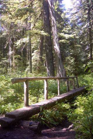 I went on a long hike on Larch Mountain, and all I ended up at was this cute bridge over a tiny creek.
