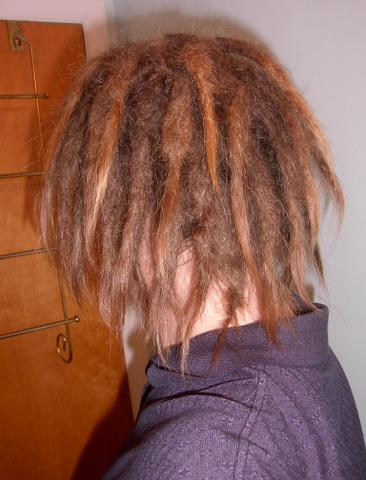 My dreads after 10 months (back)