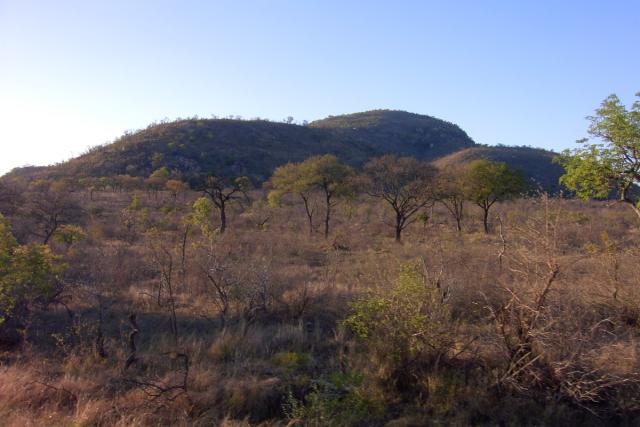 Day 02 - Kruger - Landscape - PDRM2604