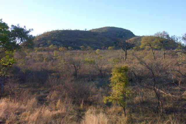 Day 02 - Kruger - Landscape - PDRM2605
