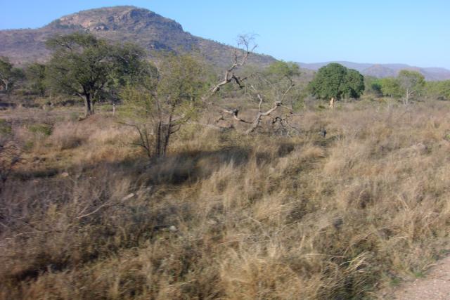 Day 03 - Kruger - Landscape - PDRM2628
