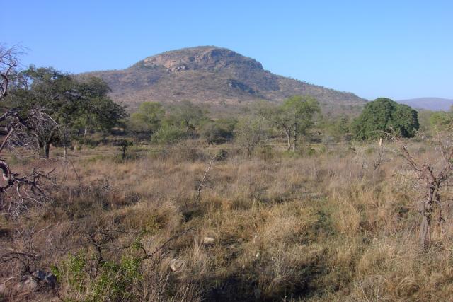 Day 03 - Kruger - Landscape - PDRM2629
