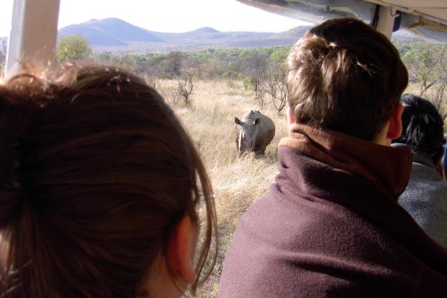 Day 04 - Kruger - Rhino 9