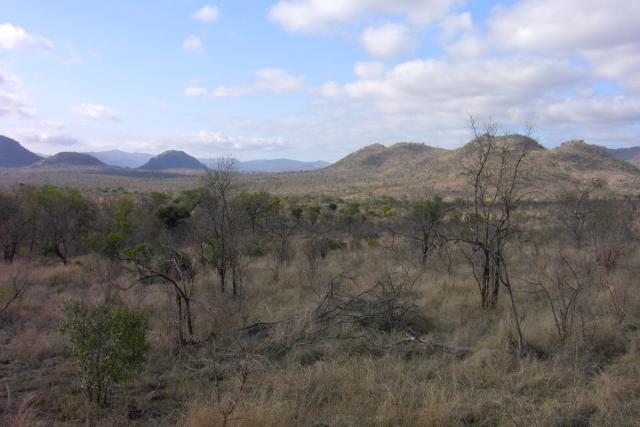 Day 04 - Kruger - Landscape - PDRM2690