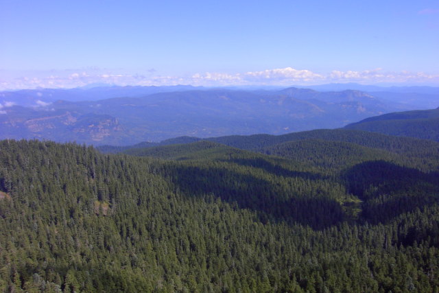 View from Larch Mountain