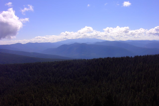 View from Larch Mountain 3